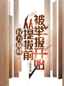 权力巅峰后续