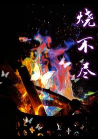 烧不尽by番外
