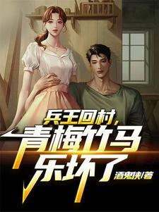 兵王回农村类型的