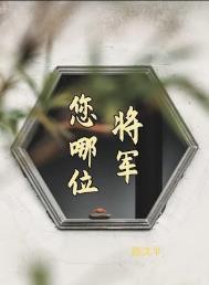将军是哪个 将军是哪个